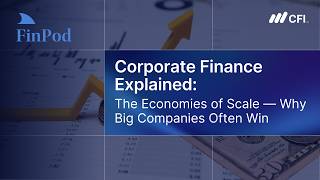 Corporate Finance Explained | The Economies of Scale