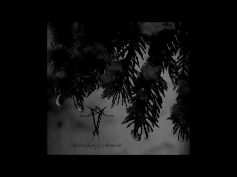 Vinterriket - Nachtschwarze Momente (Full EP)