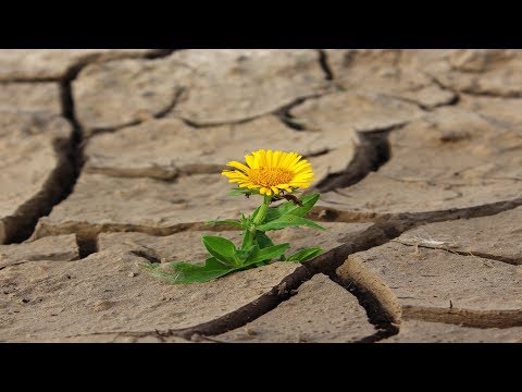 Kein Regen bis Oktober 2018? Deutschland vor Dürre-Katastrophe! (Mod: Dominik Jung)