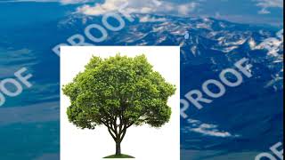 🌝the moon is made of cheese but I can’t taste it🌝 MAP part 7// FlipaClip