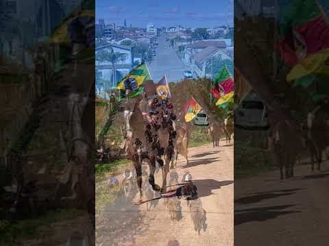 CHAMA CRIOULA CHEGA A TAPES APÓS CAVALGADA DESDE RIO PARDO