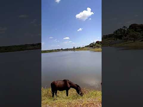cidade de formoso de minas gerais