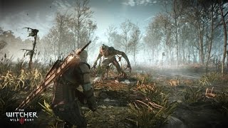 The Witcher 3 - How to Kill Werewolf (Wild at Heart) [Gameplay Walkthrough] [No Commentary]