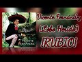 Vicente Fernández: Vendrán Palomas Negras [Lobo Herido] Karaoke {RUBIO}
