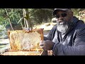 What to do with a Dead Beehive!!!
