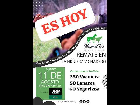 11/08/2026 Local La Higuera Vichadero - Rivera - Feria Mensual - Mauro Feo | ClicRural