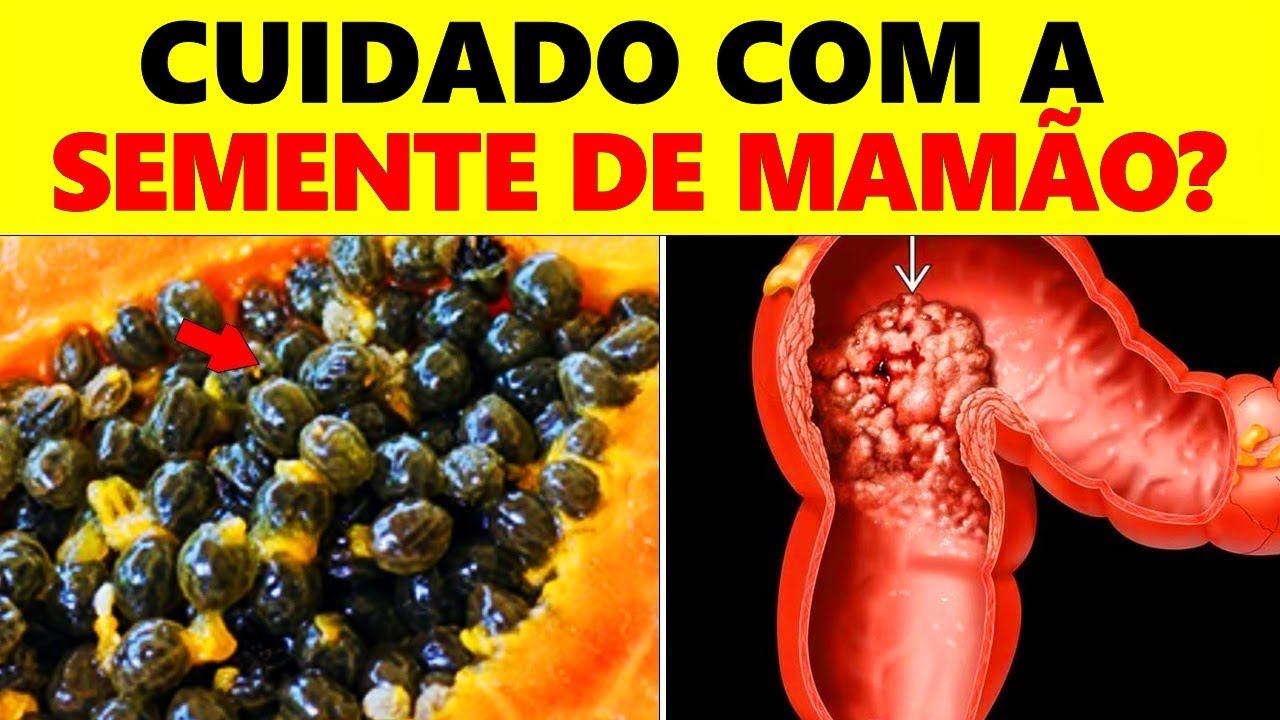 Isso ACONTECE com seu CORPO se você comer SEMENTES DE MAMÃO