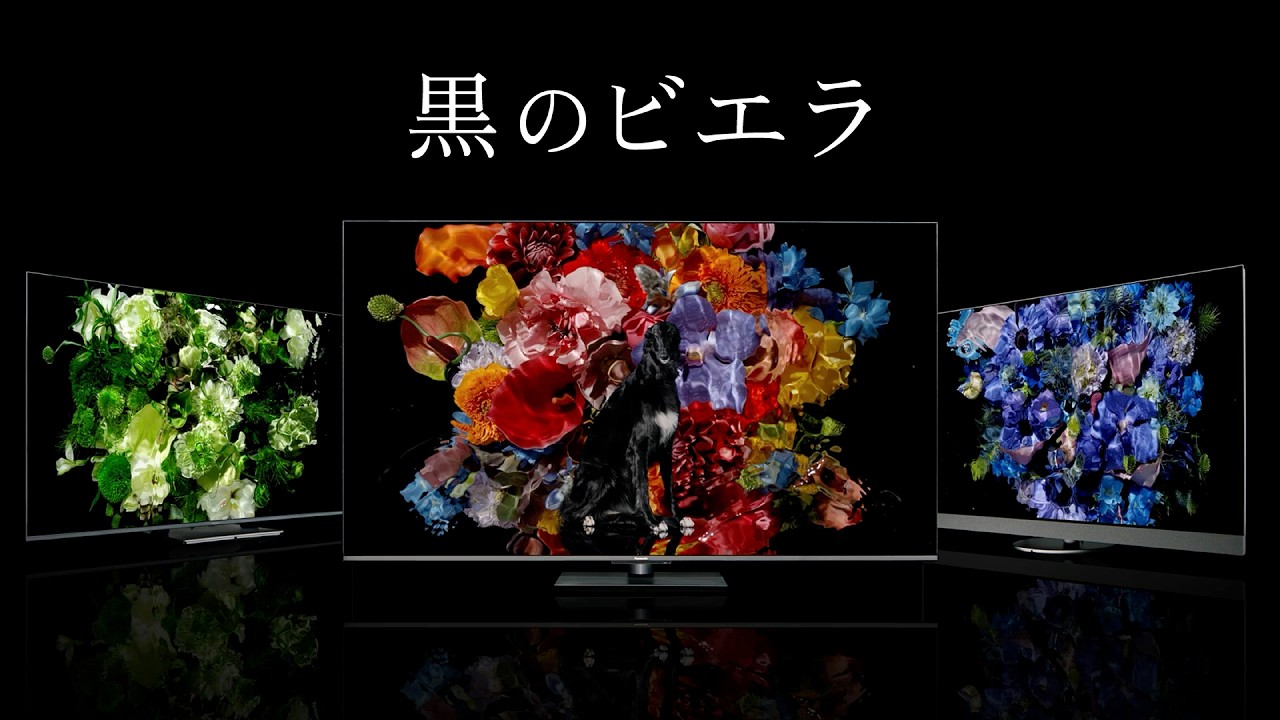 Mini LED 4K液晶ビエラ W97C 黒のビエラ篇 30秒【パナソニック公式】