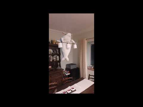 The BarFlyz - Can't Help Myself (eSQUIRE Remix)