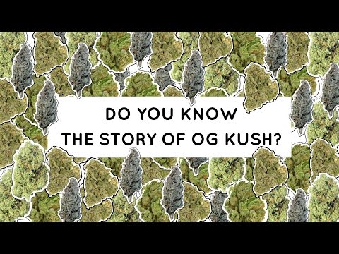 Meet OG Kush, the most famous cannabis strain