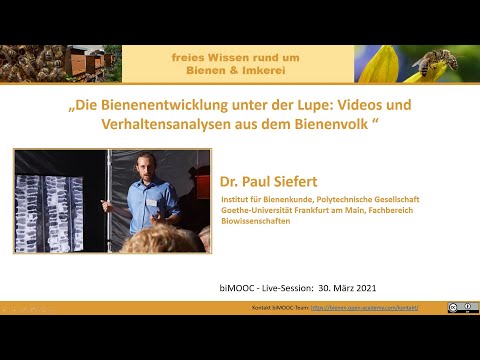, title : 'Videos und Verhaltensanalysen aus dem Bienenvolk (biMOOC)'