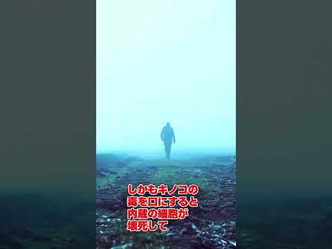  9月のキノコはどれ？今月採れる食用で認識しやすい種 8 種  庭園