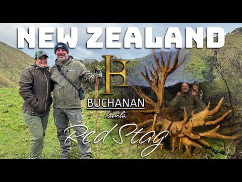 Chasing Giants: Massive New Zealand Red Stag Hunt with Wanganui Safaris | Buchanan Hunts