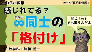 【やわらか数学】n→∞のときの極限はこれで予想できる！知っておきたい発散速度の「格付け」の話