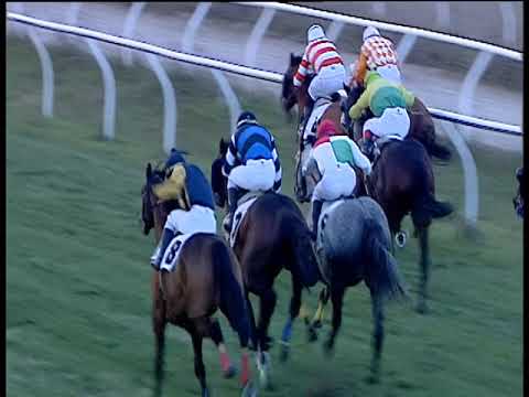 Galoppo 05/01/2019 - 4ª corsa