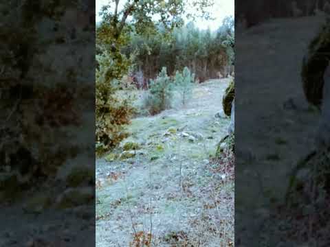 02/12/2021 Part 34 Edits Photos