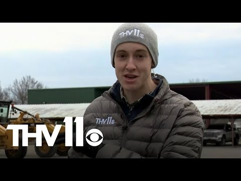 Winter storm set to hit Arkansas | The latest info