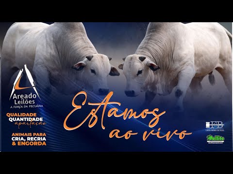 AREADO LEILÕES - AREADO MG   17/04/2026