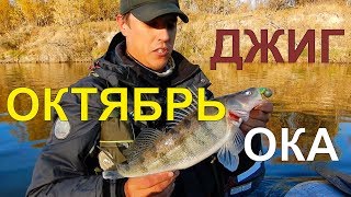 Как ловить берша на джиг