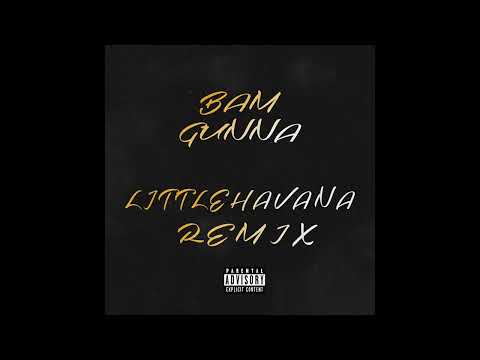 Bam Gunna - Little Havana Remix (Official Audio)
