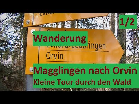 Wanderung: Magglingen nach Orvin 1/2 - Gemütlich durch den Herbstwald │DEUTSCH #057-1