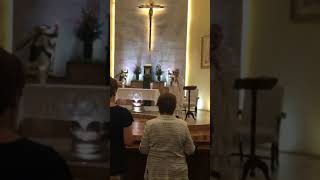 News Flash! Two New PAPA Members!!