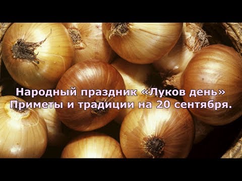 20 сентября. «Луков день». Приметы и традиции.