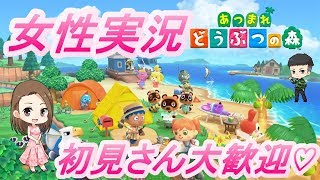 【あつ森】　女性実況　ライブ　Live　　あつ森のこと教えてください♡　かなりアットホームです　癒しがほしい人きてください　気軽にコメントください