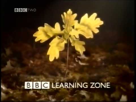 BBC LEARNING ZONE | continuity | 28th January 1998 | NICAM stereo