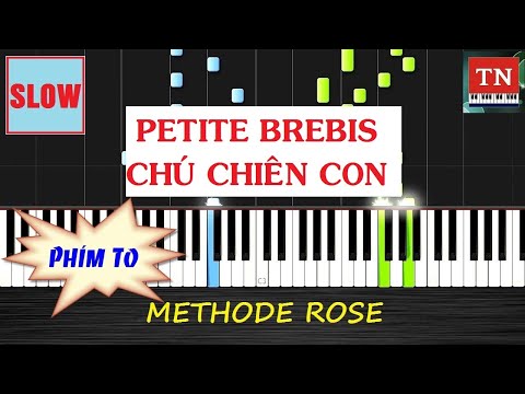 [ Methode Rose ] Petite brebis | Chú chiên con | Piano Thy Nguyen Tutorial