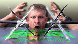 New BEAST D-CAP Broadhead Overview | How To Practice |
