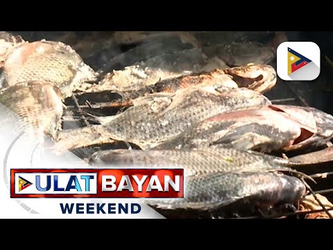 Nasa 100 kilos ng tilapia, bumida sa Tilapia Festival sa San Pablo City, Laguna