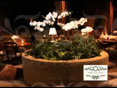 Programa Neusa Bighetti exibido no dia 30/06/2013  - Galeria das Flores