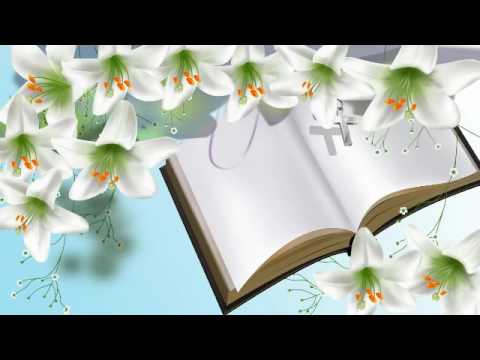 ✓ Eva Makaryan - Artnaca indz tesa