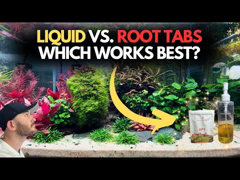 The Best Fertilizer for Planted Tanks – Liquid vs Root Tabs!