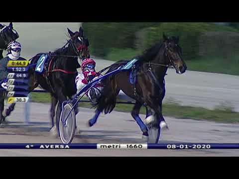 Aversa trotto 8 Gennaio 2020 - 4° corsa