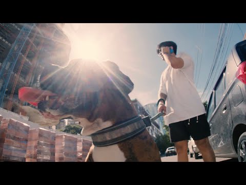 Ángel Blanchard, Dat Polo - INTENSO