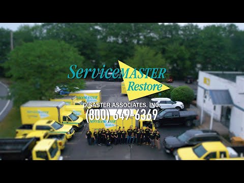 Taureau Media Group video.