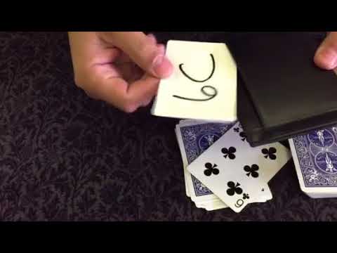 SNAKES by Wayne Dobson