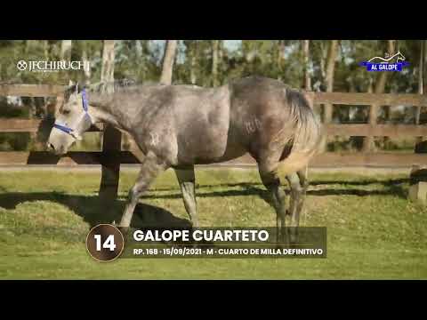 LOTE 14 - GALOPE CUARTETO