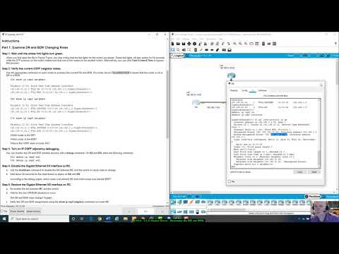 ENSA - 2.3.11 Packet Tracer - Determine the DR and BDR