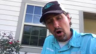 WEEDS OR SPIRITUAL FRUIT?