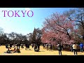 Shinjuku Gyoen National Park In Tokyo city early spring | Japan Walk @Explore-Japan