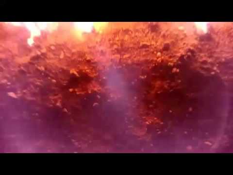 amylee hbd majid shahjerayi