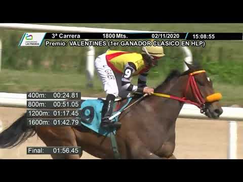 201102 c03 - NESSUM DORMA - HIPODROMO LAS PIEDRAS