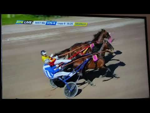 V75 Solvalla Elitloppet Försök 2 Gelati Cut