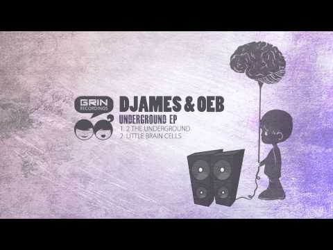 DJames & OEB - Little Brain Cells [Grin Recordings]