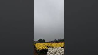 Unseen Hanoi #vietnamtravel #vietnamvlog #asiatravel #travel…