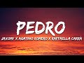 PEDRO - Jaxomy, Agatino Romero, Raffaella Carrà (TikTok Song) [Lyrics]