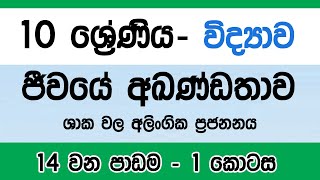 Grade 10 Science | Lesson 14 ( ප්‍රජනනය ) | Part one #Sinhala